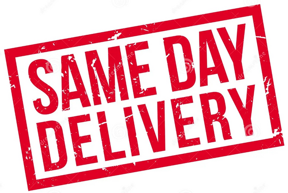 Same day delivery logo