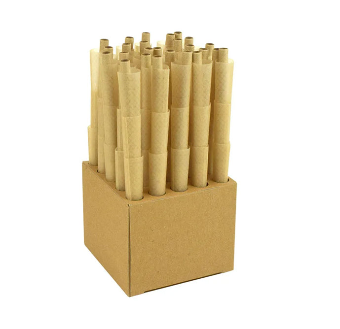 A set of RAW Ethereal natural rolling cones standing upright in a matching cardboard display block, isolated on a white background.